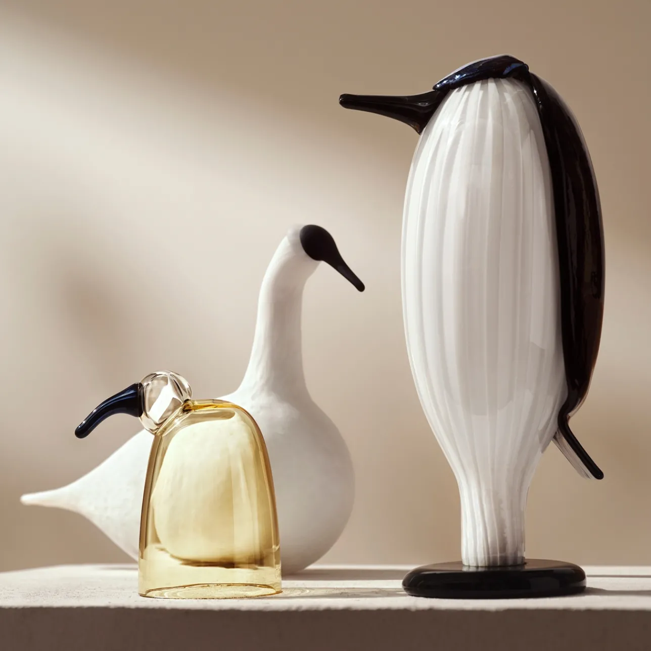 Hovimestari 160x260mm valkoinen|IITTALA Clearance