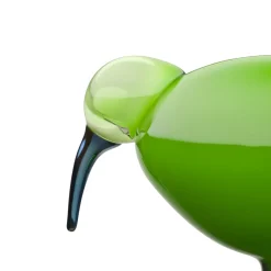 Ibis 205x165mm vihreä|IITTALA