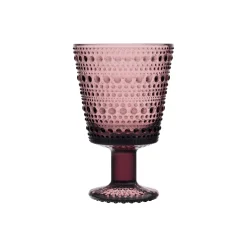 Jalkalasi 26 cl 2 kpl|IITTALA Online