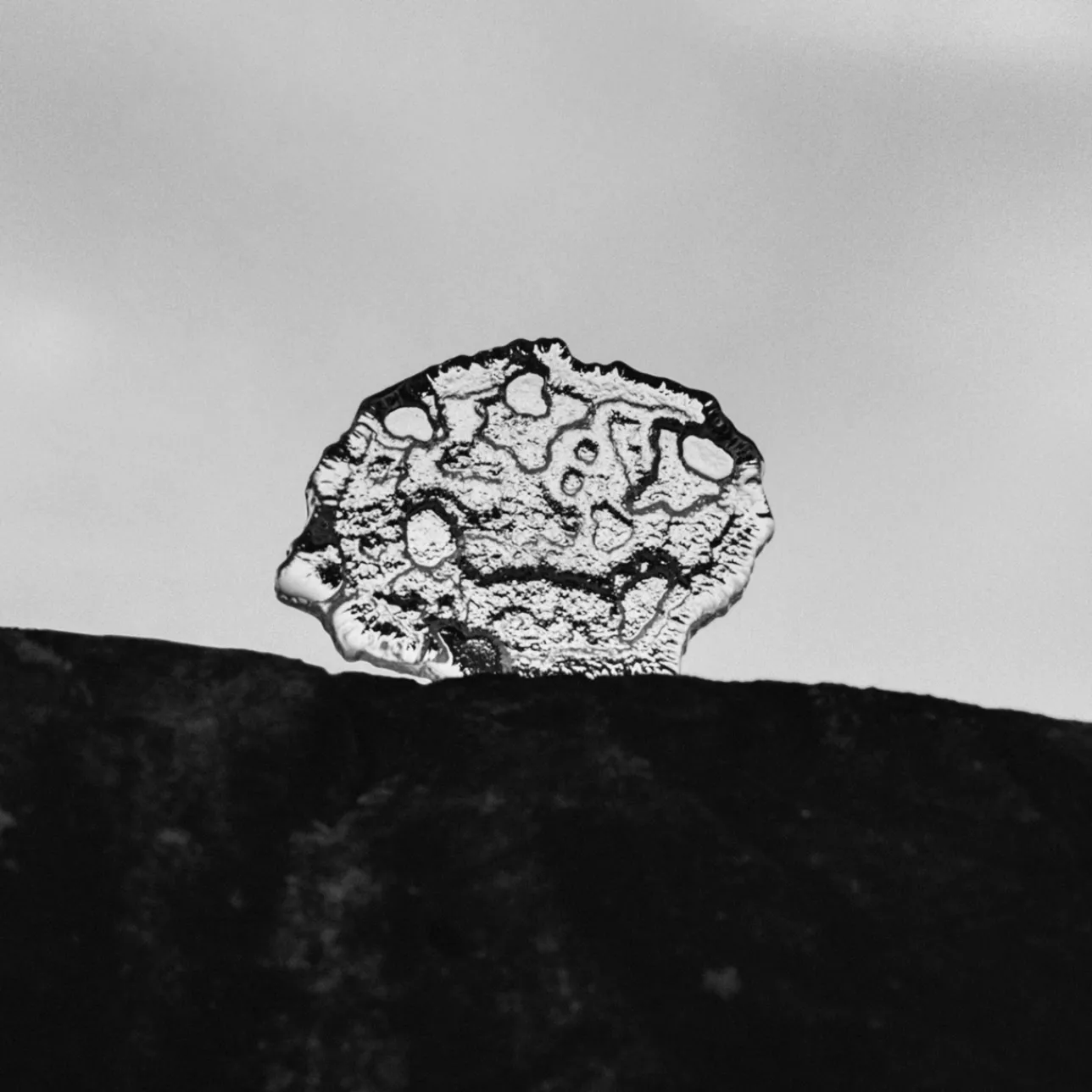 Jäälautta taide-esine 135x24mm|IITTALA Best