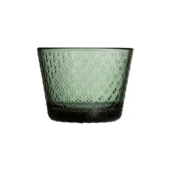 Juomalasi 16cl havunvihreä 2kpl|IITTALA