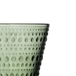 Juomalasi 30cl havunvihreä 2kpl|IITTALA