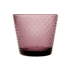 Juomalasi 29cl 2kpl|IITTALA Online
