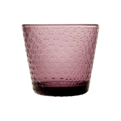 Juomalasi 29cl 2kpl|IITTALA Online