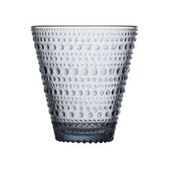 Juomalasi 30cl uudelleenhyödynnetty lasi 2 kpl|IITTALA Sale