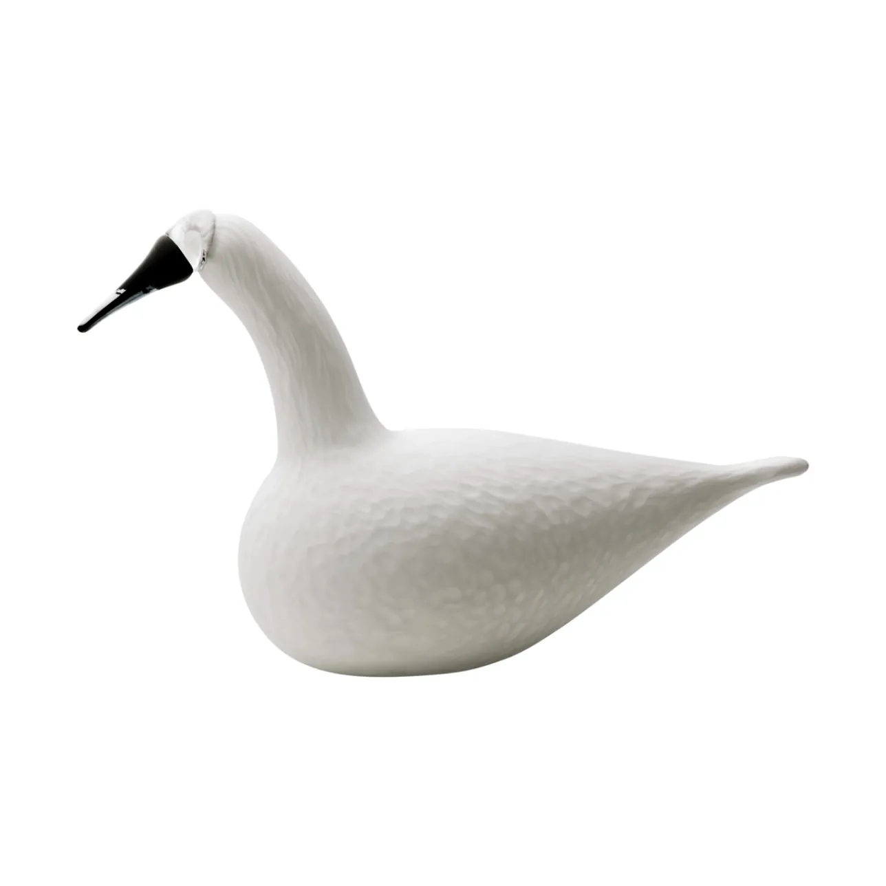 Karjalan laulujoutsen valkoinen 330x210|IITTALA Online