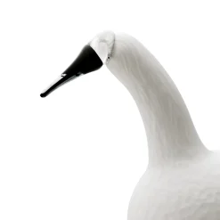Karjalan laulujoutsen valkoinen 330x210|IITTALA Online