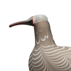 Kuovi 350x195mm hiekka|IITTALA Sale