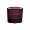 Kynttilälyhty 60mm kanerva|IITTALA Best