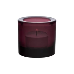 Kynttilälyhty 60mm kanerva|IITTALA Best