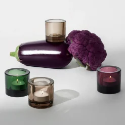 Kynttilälyhty 60mm kanerva|IITTALA Best
