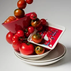 Lautanen suorakaide 12x24cm punainen|IITTALA Clearance