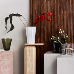 Maljakko 220mm|IITTALA