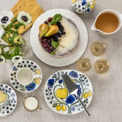 Rasia 0,43l kannella|IITTALA Online