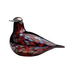Rubiinilintu karpalo|IITTALA Sale