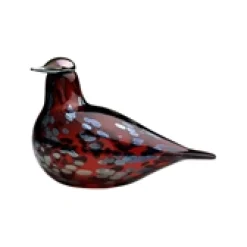 Rubiinilintu karpalo|IITTALA Sale