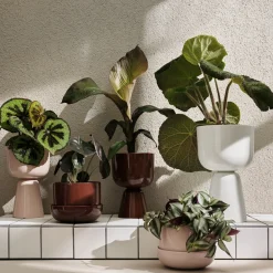 Ruukku ja vati S|IITTALA Sale