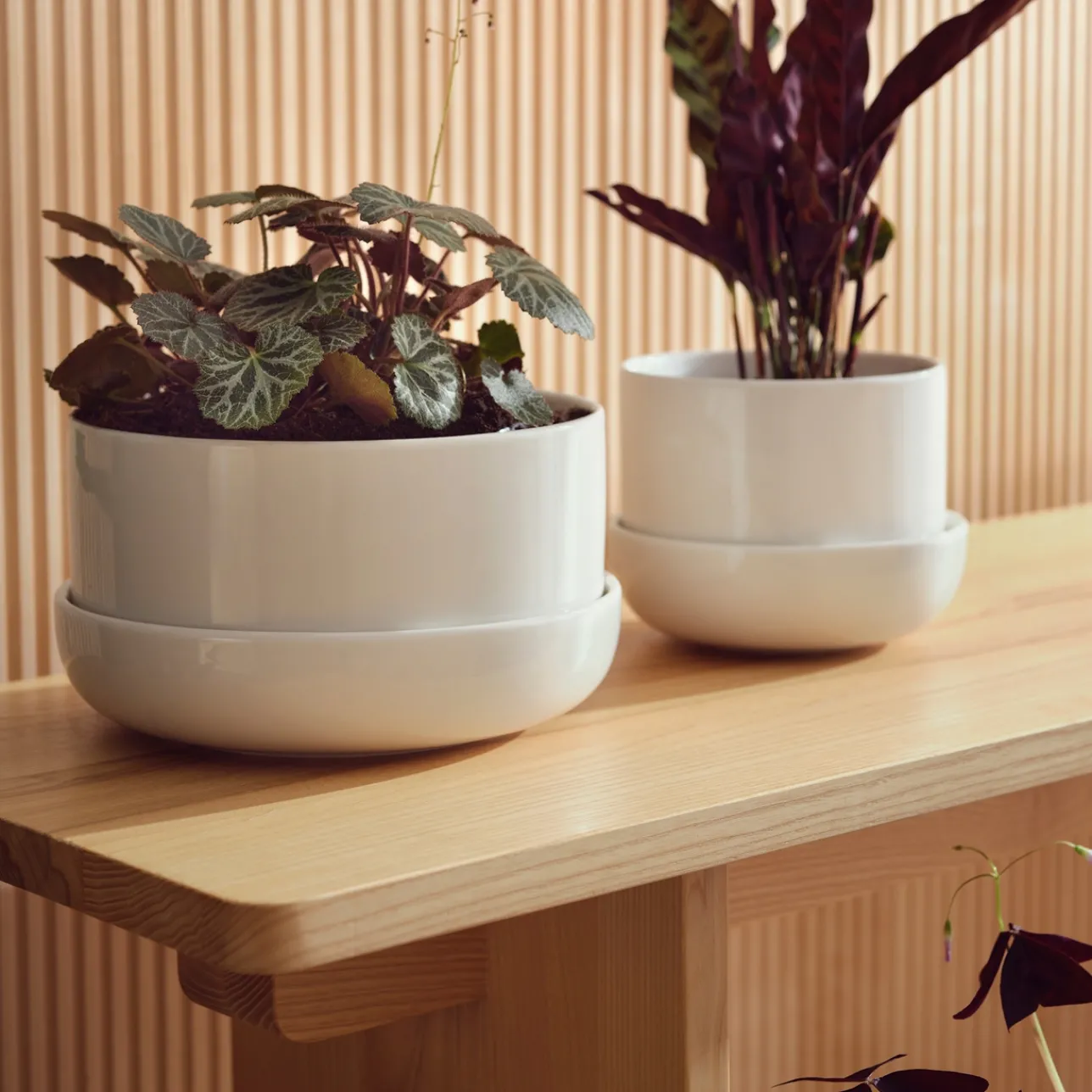 Ruukku ja vati M|IITTALA New