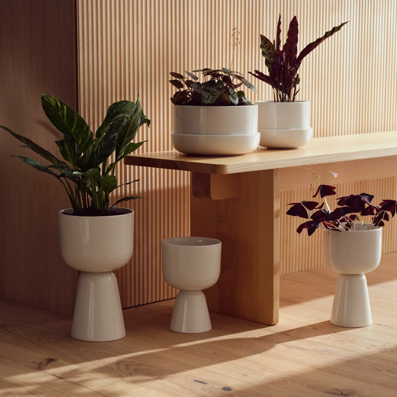 Ruukku ja vati M|IITTALA New