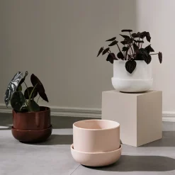 Ruukku ja vati S|IITTALA Best