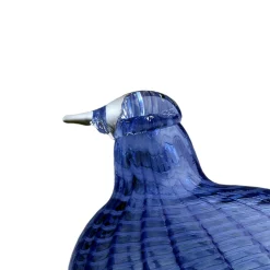 Sinisulka 120x85mm|IITTALA Best