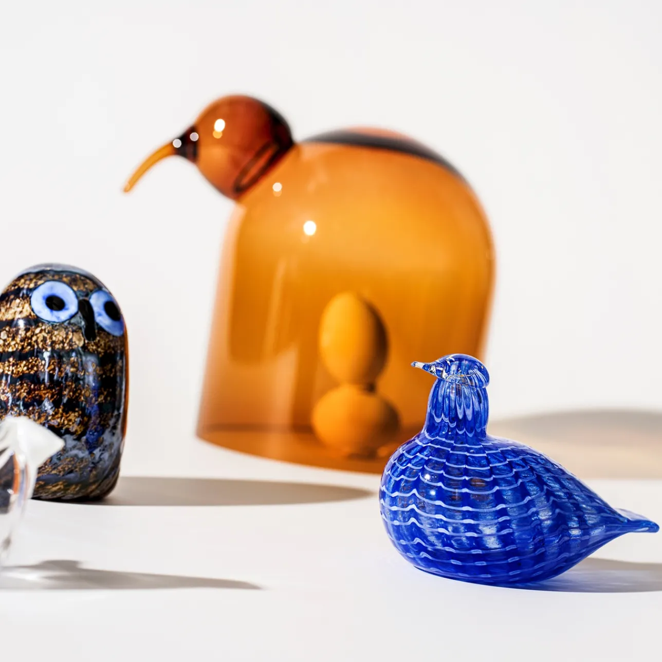Sinisulka 120x85mm|IITTALA Best