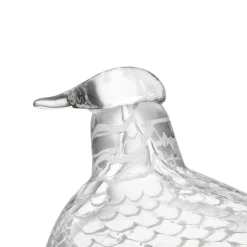 Sovinnon kyyhky 160x110mm|IITTALA Outlet