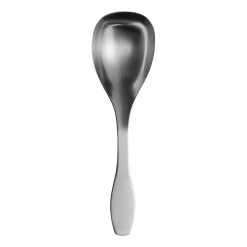 Tarjoilulusikka iso|IITTALA New